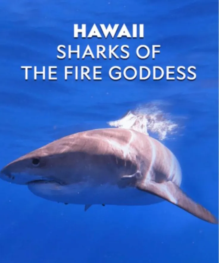 Sharks of the Fire Goddess (Discovery Channel)